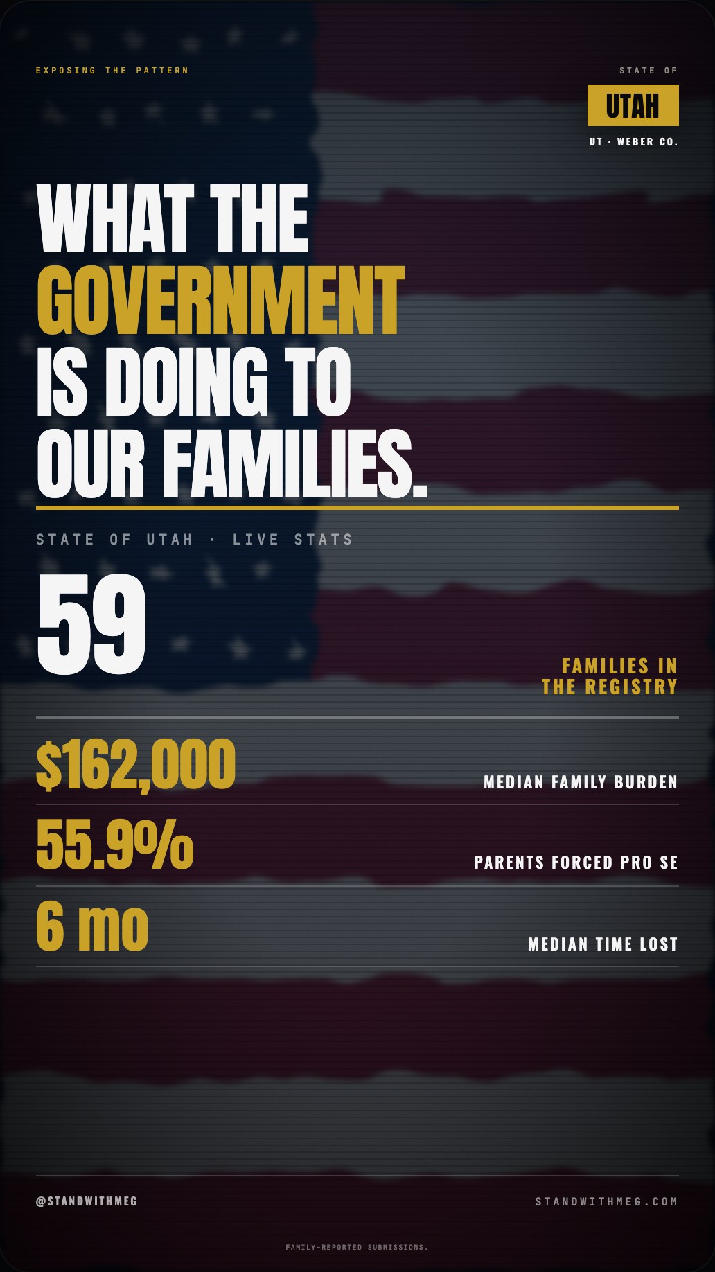 DCFS share slide 3 of 7